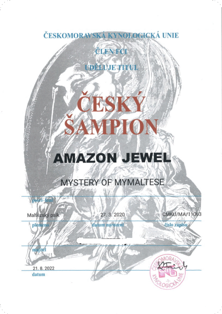AmazonJewel-CZChampion_21082022