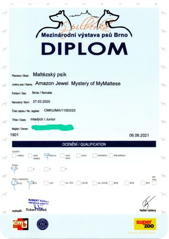 Diploma_Amazon