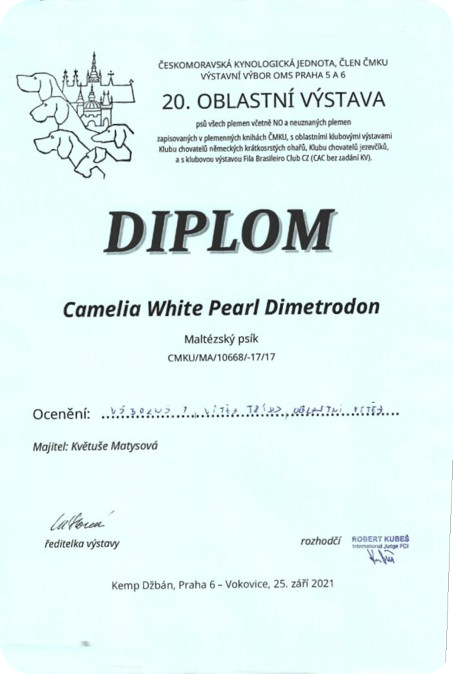Diploma_Camlia_25092021